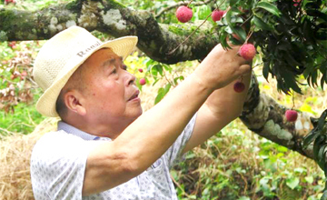四十三年堅守 打磨一顆“匠心”——記公司建廠元老、勞動模范姚林根