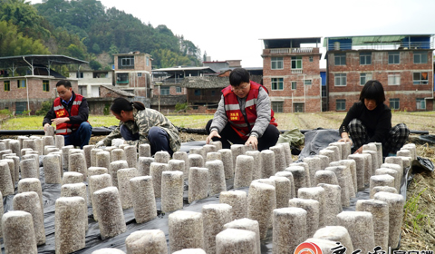 媒體聚焦 | 看柳工定點(diǎn)幫扶村：冬日栽下“金棒”，來(lái)年春日綻“金花”